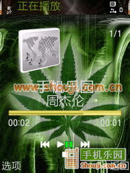 綠色煙草 傳統(tǒng)與現(xiàn)代的交織