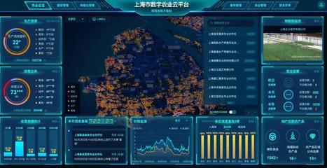 數(shù)字農(nóng)業(yè)，誰拔頭籌？——數(shù)字化競逐中的上海實(shí)踐